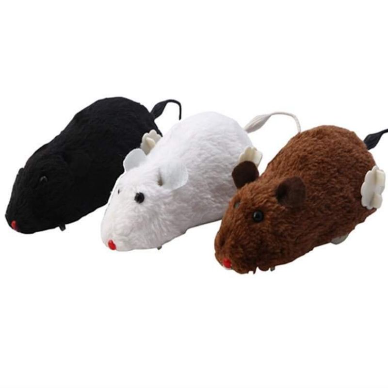 ของเล่นแมว หนูไขลาน ของเล่นแมวไขลาน