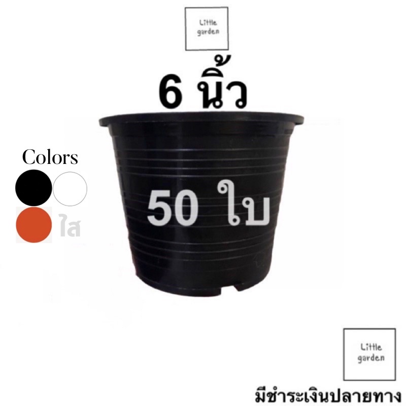 Little กระถางแคคตัส 6 นิ้ว 50 ใบ(สีดำ สีขาว สีอิฐ )