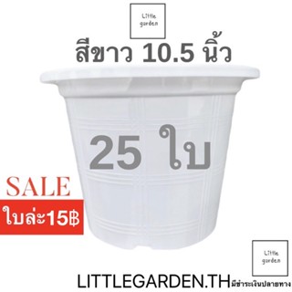 Little กระถางสีขาว 10.5 นิ้ว ชุด 25 ใบ(ขาวออร่าA+🤍) (หลายขนาด 6 นิ้ว 8(7.5”)นิ้ว 4 นิ้ว)