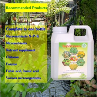 Concentrated fermented guano, bio-fertilizer, Super Green, the best organic substances that plants need- 1 kg. bottle