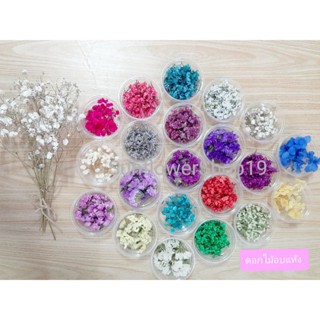 🌼 ดอกไม้แห้ง ดอกไม้แห้งแบบกระปุก🌼 #ดอกไม้งานDIY #ดอกไม้งานประดิษฐ์