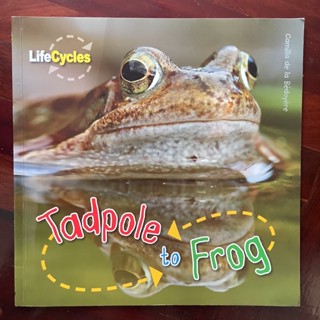 หนังสือชุด LifeCycles เรื่อง From Tadpole to Frog