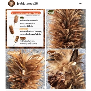 ไม้ปัดขนไก่ ปัดฝุ่น งานhandmade ขนเกรดพรีเมียม size S-XL