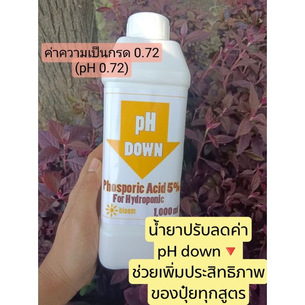 (ช่วงทำดอก)PH DOWN ชนิดกรดฟอสเฟอริก 5% H3PO4 เจือจาง 5%