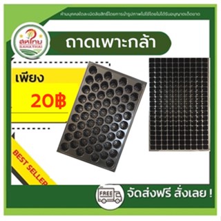 ถาดเพาะกล้า ถาดเพาะชำ ถาดเพาะต้นไม้ ถาดเพาะเมล็ด หนา 0.6mm ขนาด 60-200 หลุม ถาดหลุม