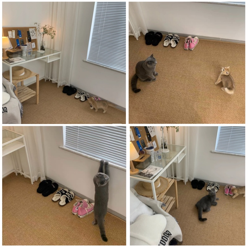 พรมห้องครัว เป็นธรรมชาติ ป่านศรนารายณ์ พรมเช็ดเท้า 40x120 100x100 พรมมินิมอล เสื่อทาทามิ ลับเล็บแมว พรมปูพื้นห้องนอน - รูปที่ 6