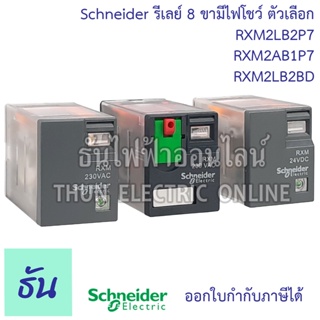 Schneider Miniature Plug in Relays รุ่น RXM2  รีเลย์ 8ขา 2คอนแทค 220VAC, 24VDC ตัวเลือก RXM2LB2P7  RXM2AB1P7 RXM2LB2BD ชไนเดอร์ ธันไฟฟ้า