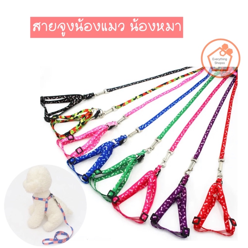 +สายจูงสามวรรค+ สำหรับสัตว์เลี้ยง สุนัข แมว