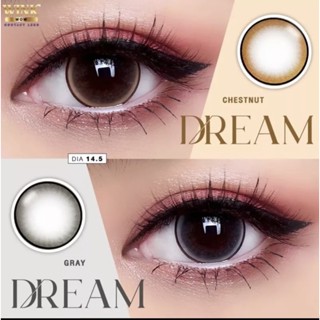 Dream gray and Brown contactlenses Gaezz และ Wink คอนแทคเลนส์