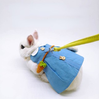 พร้อมส่ง  Rabbit Leash สายจูงกระต่าย  สายจูงสัตว์เลี้ยงกระต่าย