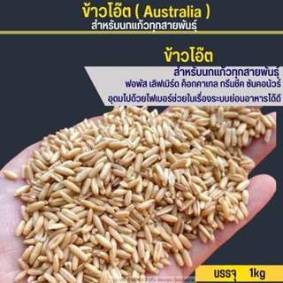 ข้าวโอ๊ต Australia อาหารเสริมสำหรับนก รับประกันความสะอาด ร่อนฝุ่นทุกถุง