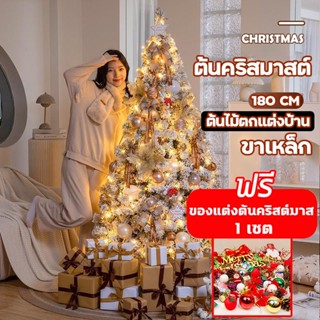 ⭐ 🎄【พร้อมส่ง/ ฟรี ! ของตกแต่ง 175 ชิ้น】🎄 ต้นคริสต์มาส christmas tree ต้นคริสต์มาสพร้อมตกแต่ง ต้นคริสมาสใหญ่ ต้นคริสมาส