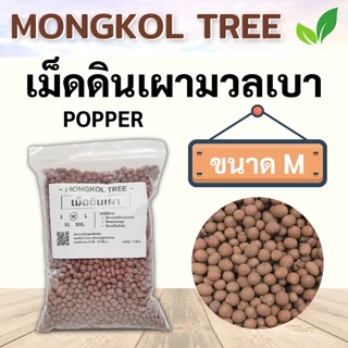 เม็ดดินเผามวลเบา Popper 🌰 1 ลิตร S M L XL XXL เม็ดปอปเปอร์ Mongkol Tree Family วัสดุปลูก ใช้โรยหน้ากระถาง ผสมดินปลูก