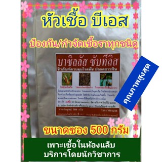 หัวเชื้อจุลินทรีย์บีเอส (บาซิลลัส ซับทีลิส) ชีวภัณฑ์ปลอดสารพิษ ป้องกัน/กำจัดเชื้อรา โรคกุ้งแห้ง แคงเกอร์  ขนาด 500 กรัม