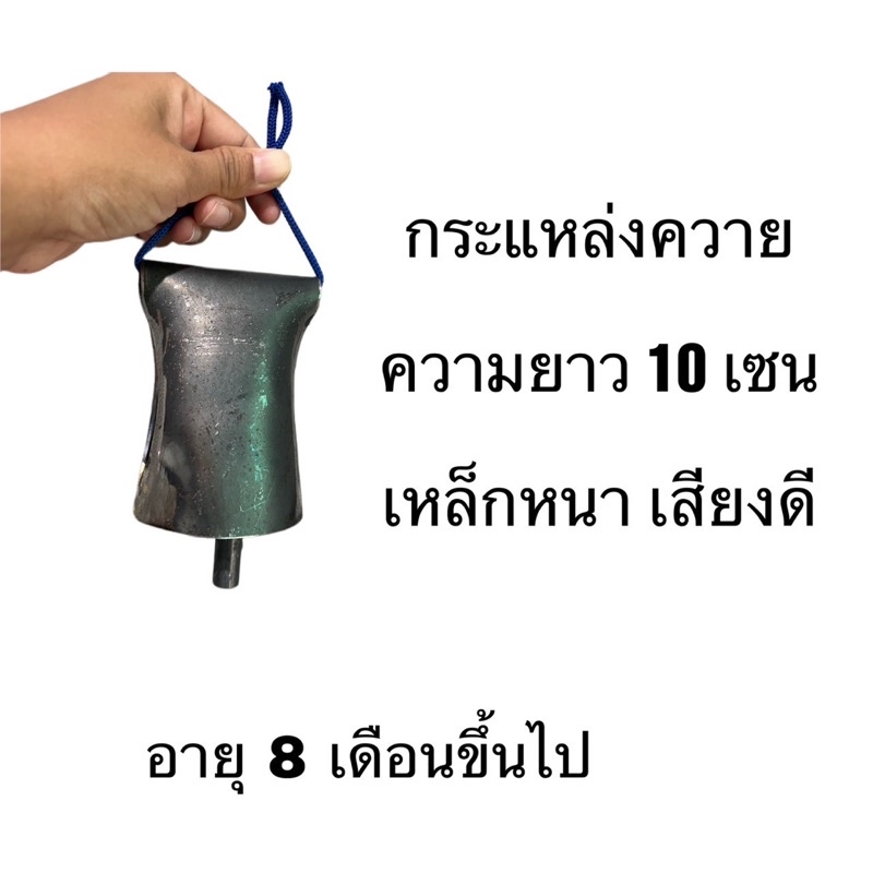 กระแหล่งวัว กระแหล่งควาย กระดิ่งเหล็ก