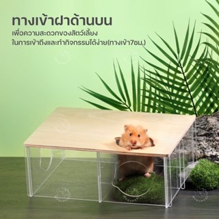 [Bucatstate] บ้านหลบ อคริลิค สำหรับ แฮมสเตอร์ ดอร์เม้าส์ ชูก้าไรเดอร์