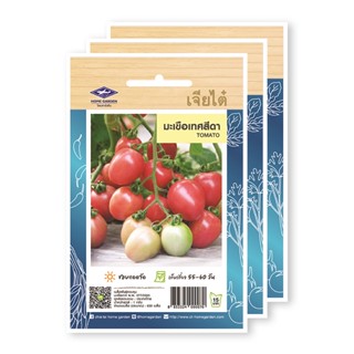 [ราคาพิเศษ] เจียไต๋ มะเขือเทศสีดา แพ็ค 3 ซอง - Chia Tai Seed Tomato  1 Pack X 3 Unit