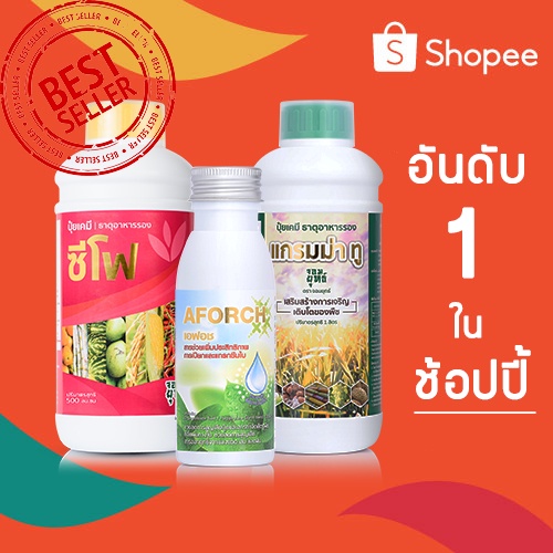 แพ็คสามเล็ก เอฟอช 100cc แกรมม่าทู 500cc ซีโฟ 500cc