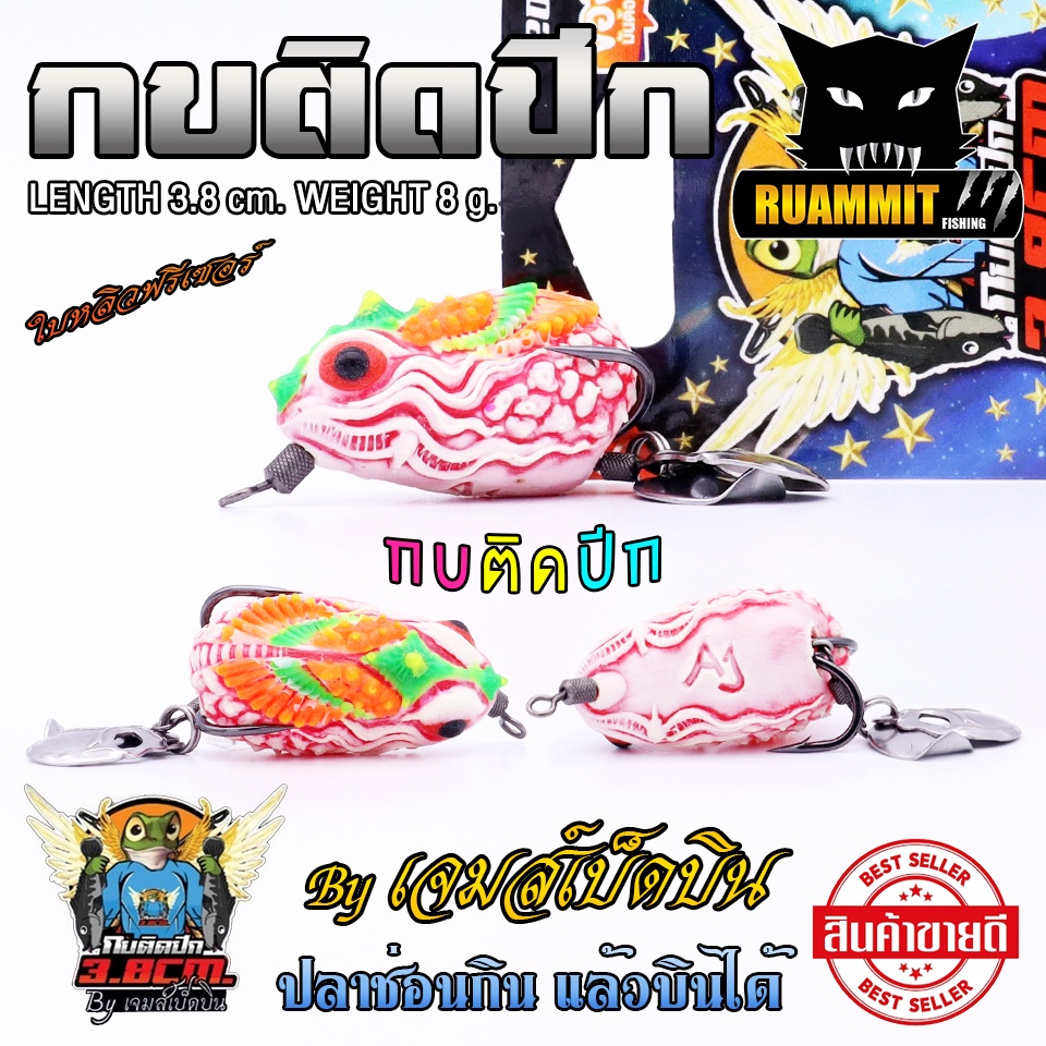 Thumbnail 8