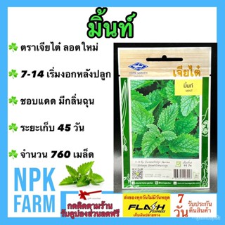 ผลิตภัณฑ์ใหม่ เมล็ดพันธุ์ 2022ผักซอง เจียไต๋ มิ้นท์ สาระแหน่ ขนาด 760 เมล็ด/ซอง เมล็ดอวบอ้วน ลอตใหม่ งอกดี 7-14 /มะเขือ