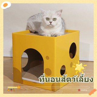 🐾 ที่นอนแมว กล่องลับเล็บชีส ที่ลับเล็บแมว ที่นอนสัตว์เลี้ยง ลับเล็บได้ บ้านแมว น่ารัก