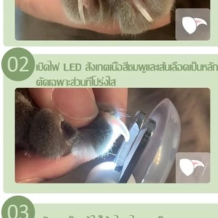 No.99🐱🐶กรรไกรตัดเล็บ แมว มีไฟ กรรไกรตัดเล็บสุนัข มองเห็นเส้นเลือดได้ง่าย ป้องกันเลือดออก มีความคมและทนทาน