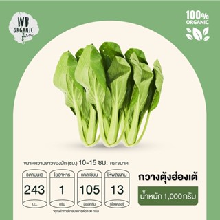 WB Organic Farm กวางตุ้งฮ่องเต้ 1000 กรัม ผักสลัด มาตรฐานออร์แกนิค ปลอดสารพิษ 100%  เก็บใหม่ทุกออเดอร์ เก็บ-แพ็ค-ส่งตร