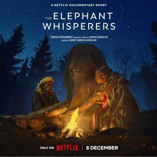 The Elephant Whisperers (2022) DVD Master พากย์ไทย