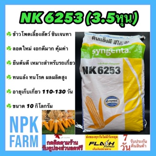 ข้าวโพดเลี้ยงสัตว์ เอ็นเค NK 6253 เบอร์2 (3.5 หุน) ขนาด 10 กิโลกรัม ซินเจนทา หมดอายุ04-2567 เมล็ดกลมกลาง ลอตใหม่ งอกดี