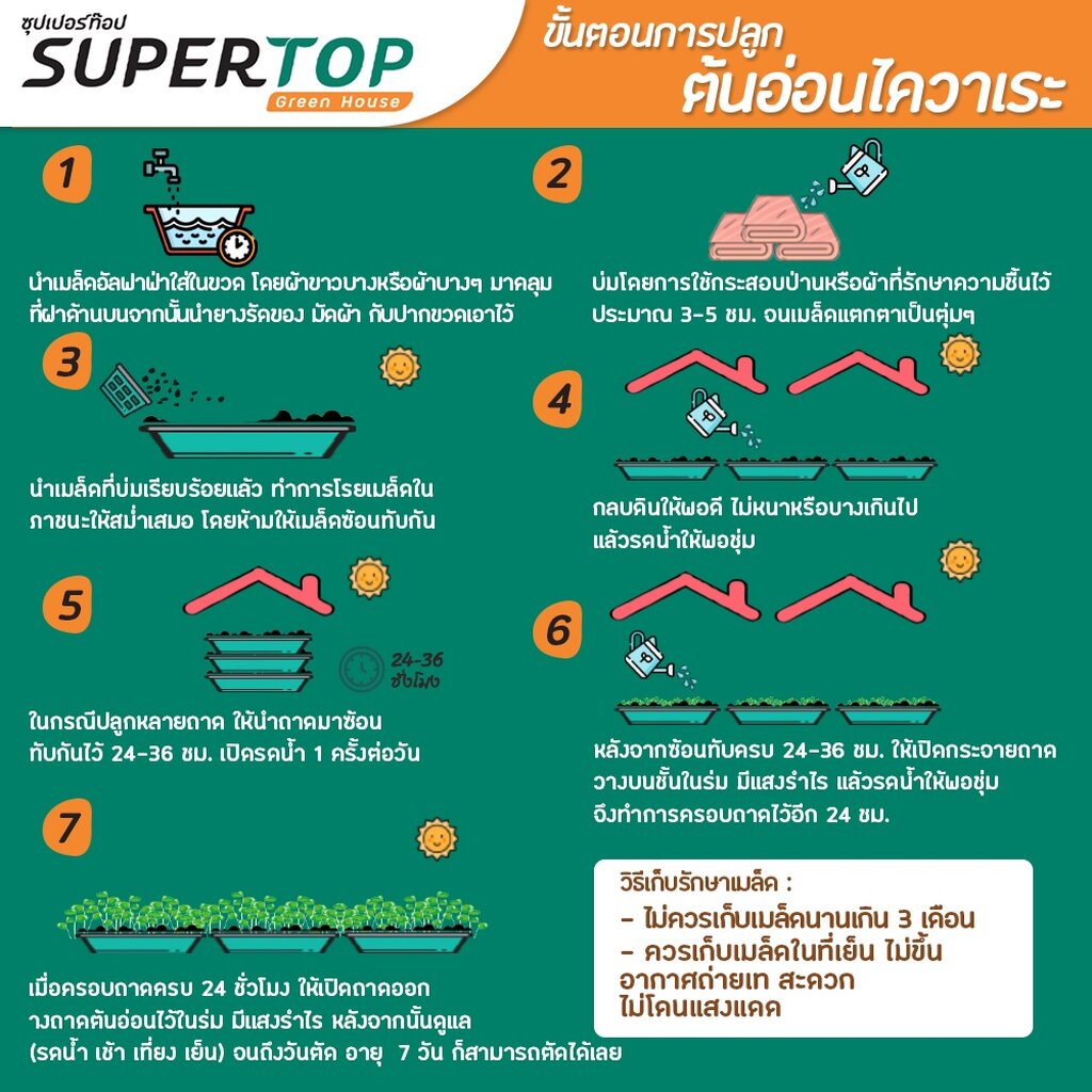 เมล็ดเพาะต้นอ่อน ไควาเระ (White Radish Microgreen) SUPERTOP ขนาด 1 KG. - รูปที่ 5
