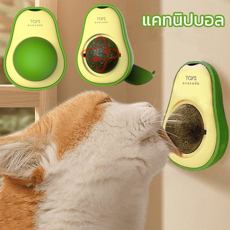 พร้อมส่ง ปลอกคอกันเลีย Catnip แคทนิป ออร์แกนิค ของเล่นแมว บอล ติดกำแพง อะโวคาโดรูปร่าง
