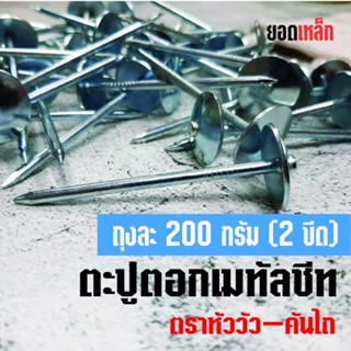 ตะปูตอกเมทัลชีท หนัก 0.2 กิโลกรัม( 2 ขีด)  ขนาด 2 1/2 x11 (65x3.05 มม.)