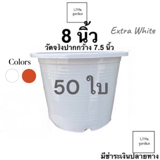 กระถางขาว 8 นิ้ว (วัดจริงปากกว้าง 7.5 นิ้ว) 50 ใบ (สีขาว สีอิฐ)