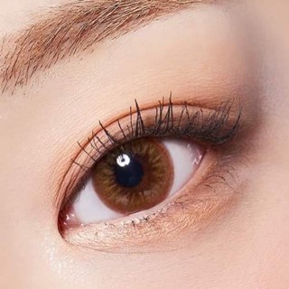 sweety plus dodo brown ไม่มีค่าสายตา พร้อมส่ง