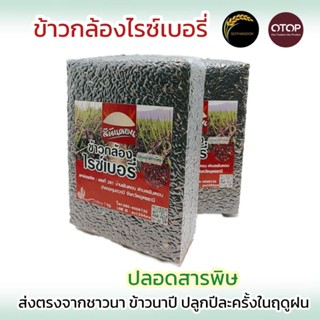 ข้าวกล้องไรซ์เบอรี่(ปลอดสารพิษ)ข้าวใหม่ปี65