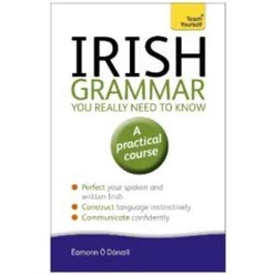 Irish Grammar You Really Need to Know