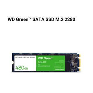 480GB SSD WD GREEN  SATA M.2 2280 (WDS480G3G0B)(รับประกัน3ปี)