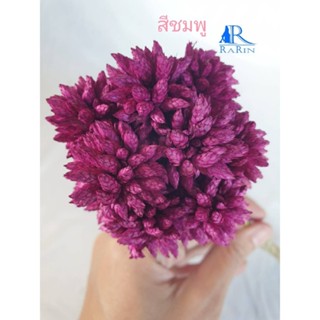 Rarin ดอกไข่แมงดา หรือ กระดิ่งนางฟ้า (สีชมพู) ใช้ตกแต่งแจกัน แต่งร้าน พร๊อพถ่ายรูป แต่งโต๊ะอาหาร งาน DIY