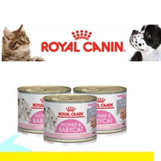 Royal Canin ฺBabycat &amp; Mother แมว ชนิดกระป๋อง