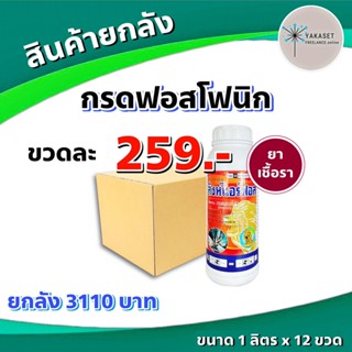 ยกลัง 12 ขวด สิงห์แอร์ฟอส 1 ลิตร 🛑 กรดฟอสโฟนิก 40% สารกำจัดโรคพืช โรคเน่า รากเน่า โคนเน่า ผลเน่า ดอกเน่า ยอดเน่า