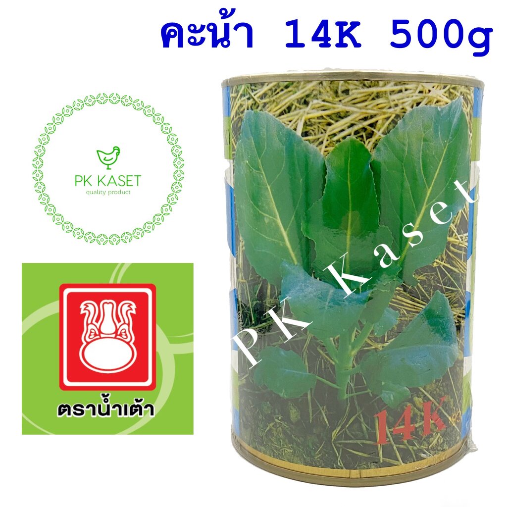 เมล็ดคะน้า 14K ตราน้ำเต้า กระป๋อง ขนาด 500g