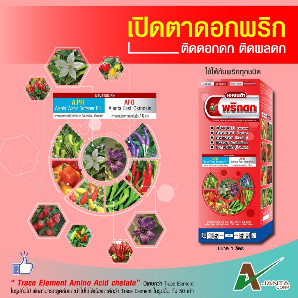 พริกดก มะเขือดก ฮอร์โมนพืช บำรุงพริก มะเขือ เพิ่มผลผลิต ทนโรค เอเจนต้า คอร์ป