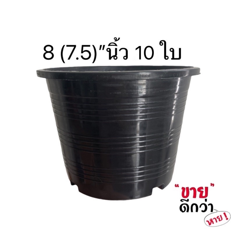 กระถาง 8 นิ้ว สีขาว ยกมัด 10 ใบ