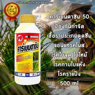 คาร์เบนดาซิม 50เอสซี ป้องกันกำจัดโรคพืช เช่น โรคใบไหม้,โรคกาบใบแห้ง โรคใบจุดสีน้ำตาลขนาด 500ซีซี