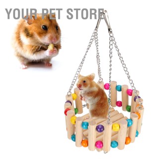 Your Pet Store เปลไม้แขวน สําหรับสัตว์เลี้ยง หนูแฮมสเตอร์ กระต่าย