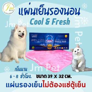 🔰JM - แผ่นเย็นรองนอน Cooling Mat ที่นอนเย็น สัตว์เลี้ยง สุนัข หมา แมว