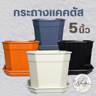 [โค้ด LUXUCTOCT ลด 5%] กระถางแคคตัส กระถาง 5นิ้ว 8 เหลี่ยม กระถางมีจานรอง