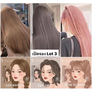 มีพร้อมส่ง 3 สีน้องใหม่ Kota lot.3