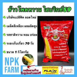 ข้าวโพดหวาน ไฮบริกซ์59 ขนาด 1 กิโลกรัม แปซิฟิค ข้าวโพด ลอตใหม่ หมดอายุ 02/2567 งอกดี เมล็ดสีเหลือง หวาน นุ่ม หอม อร่อย