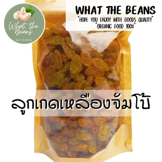 ลูกเกดเหลืองทองจัมโบ้ 500g นำเข้าล็อตใหม่ล่าสุด สีเหลืองทองสวยมาก อมเปรี้ยวอมหวาน อร่อย มีประโยชน์ What The Beans